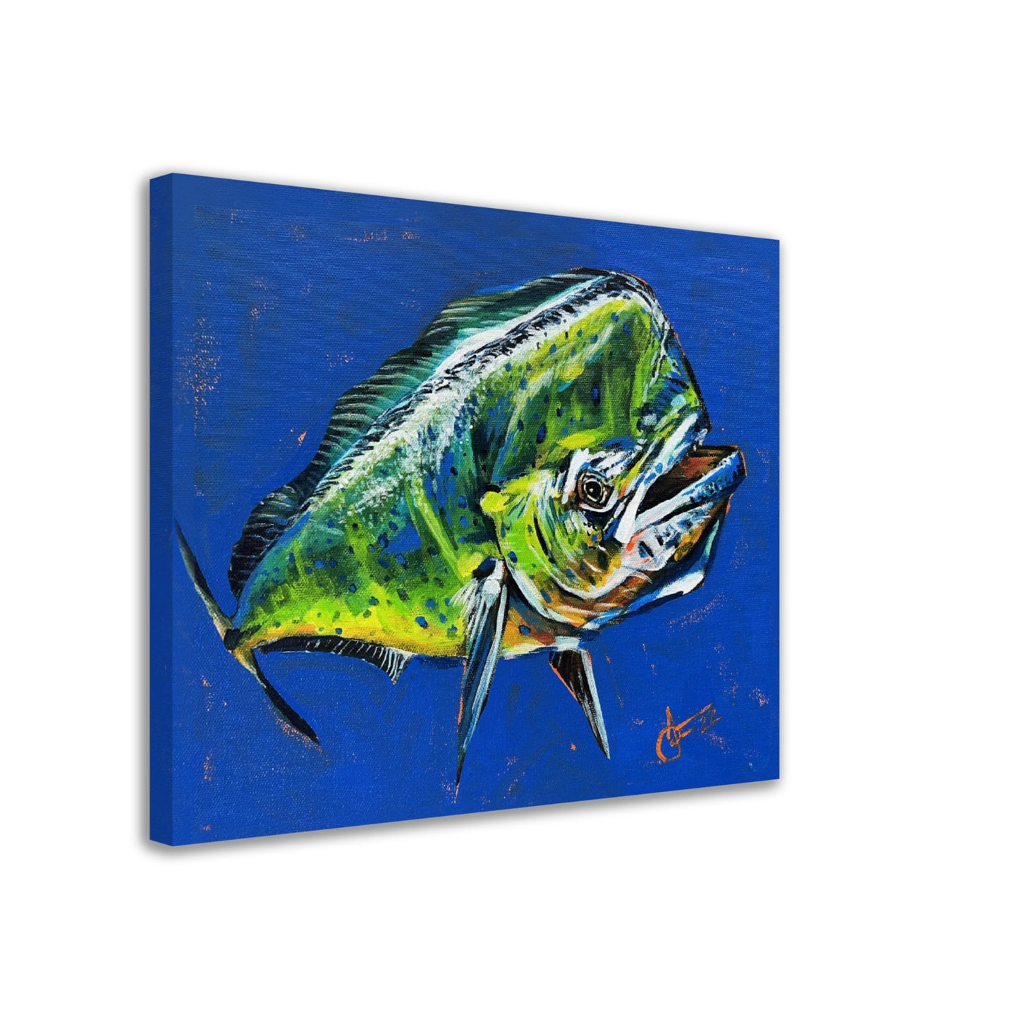 Mahi Mahi - 14" x 11" Canvas Art Print