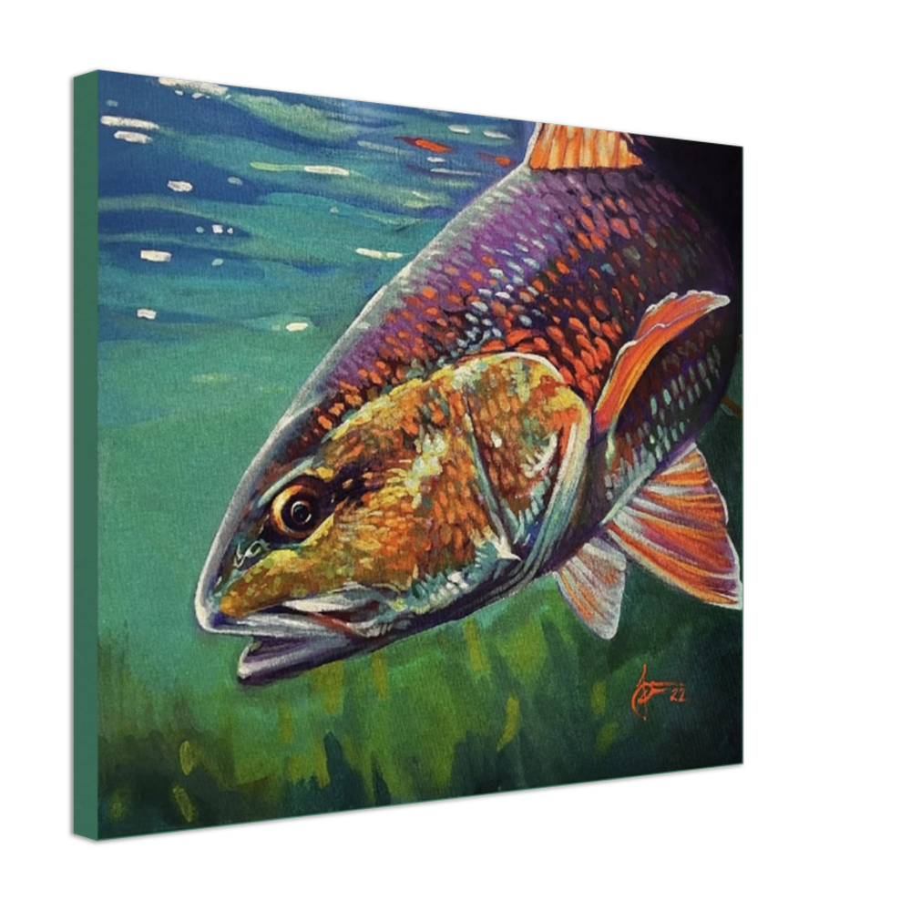 "redfish" 20" x 24" Print on Canvas