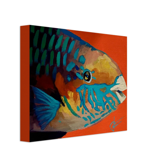 "parrotfish3" 8" x 10" Print on Canvas