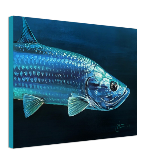 "tarpon" 18" x 24" Print on Canvas