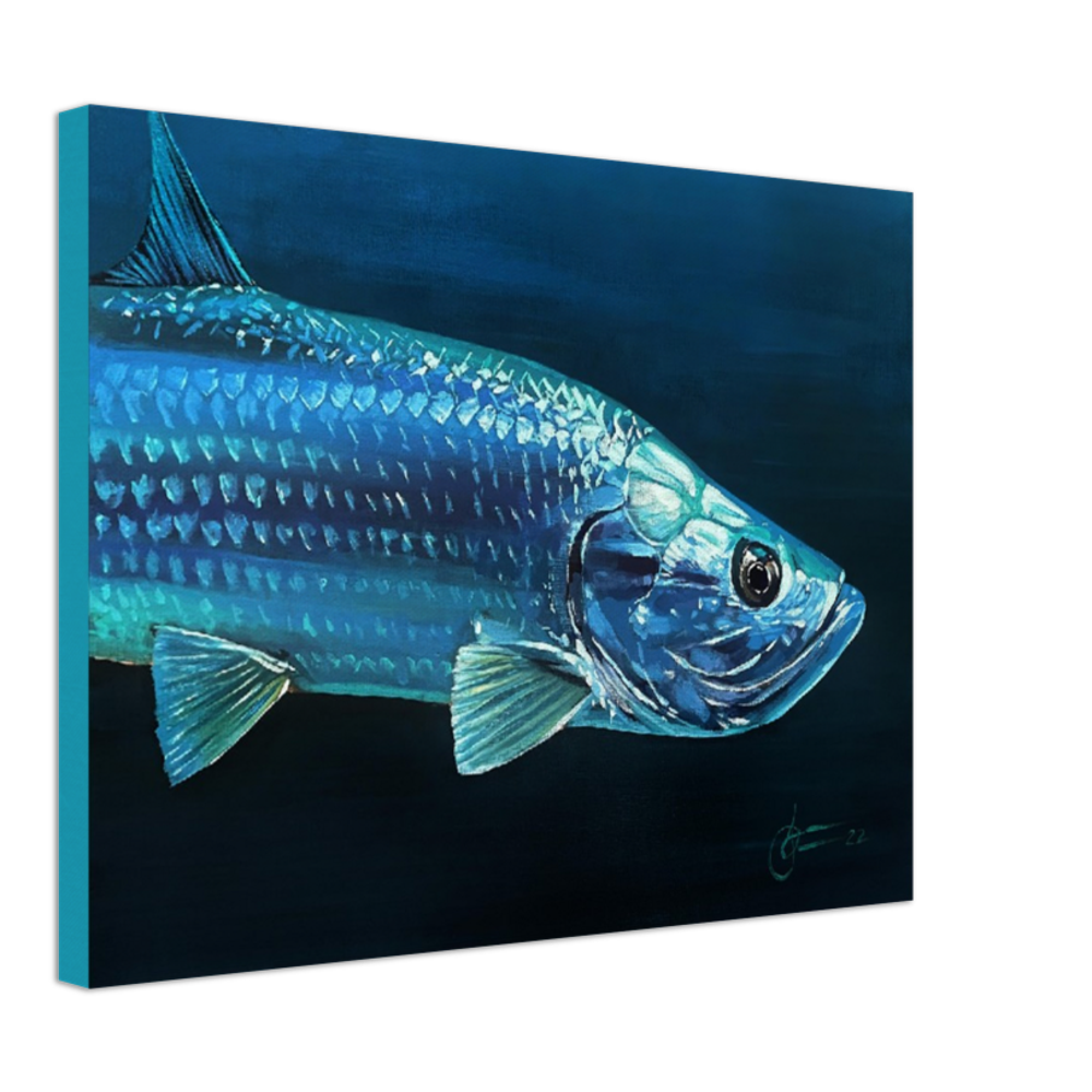 "tarpon" 18" x 24" Print on Canvas
