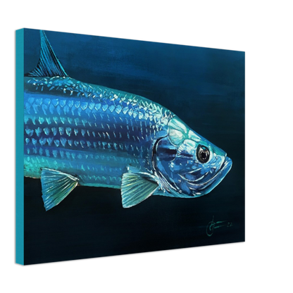 "tarpon" 18" x 24" Print on Canvas